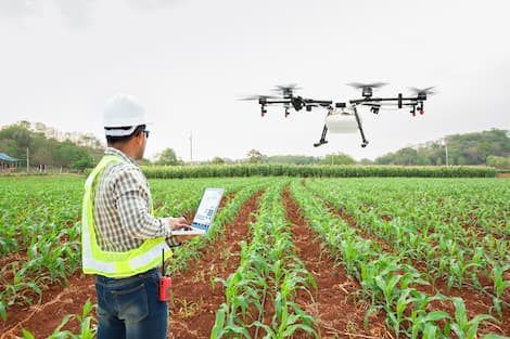 Drones para online agricultura